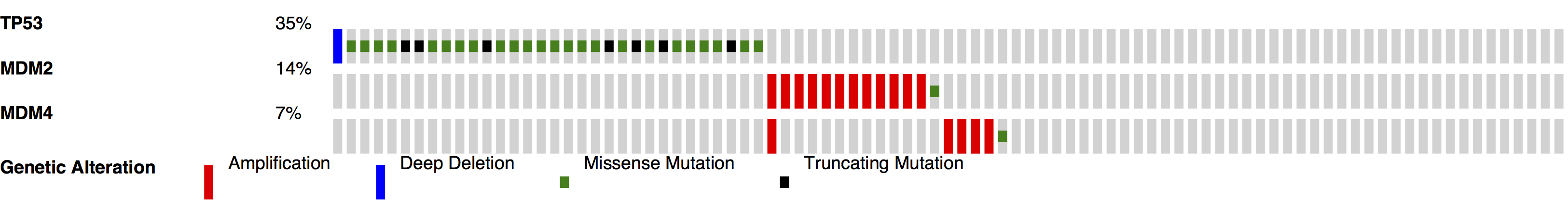 OncoPrinter output oncoprint