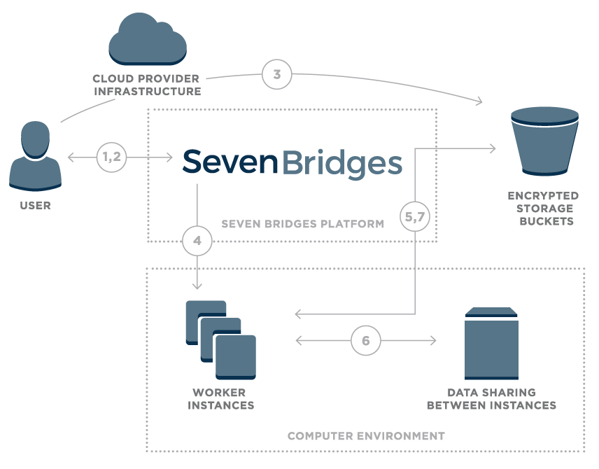 Security Seven Bridges - 