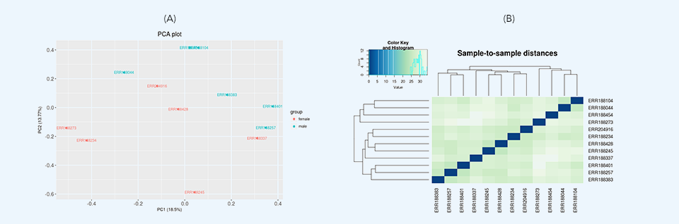 PCA and Hierarchical clustering plot