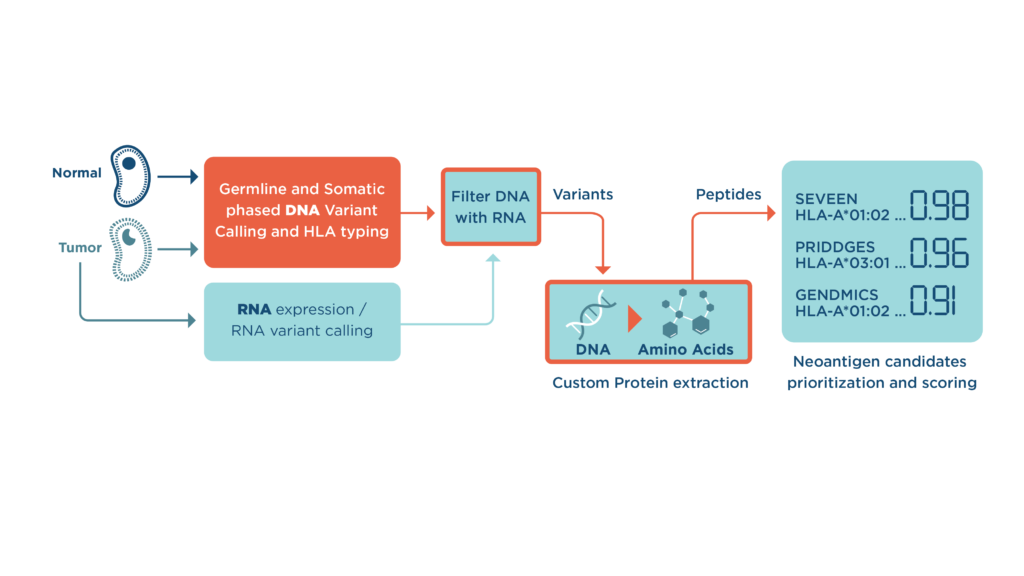Tesla Workflow Seven Bridges Neoantigen Workflow Success in TESLA Challenge